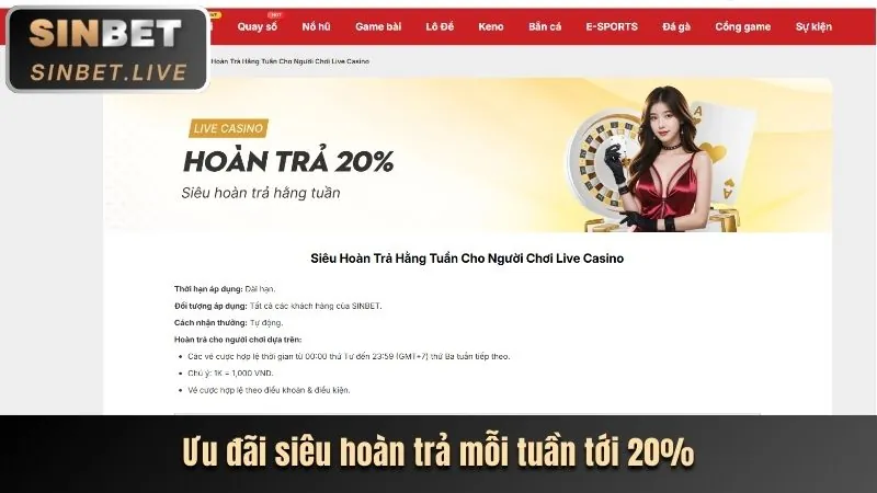 Hình ảnh các loại khuyến mãi Shbet Asia